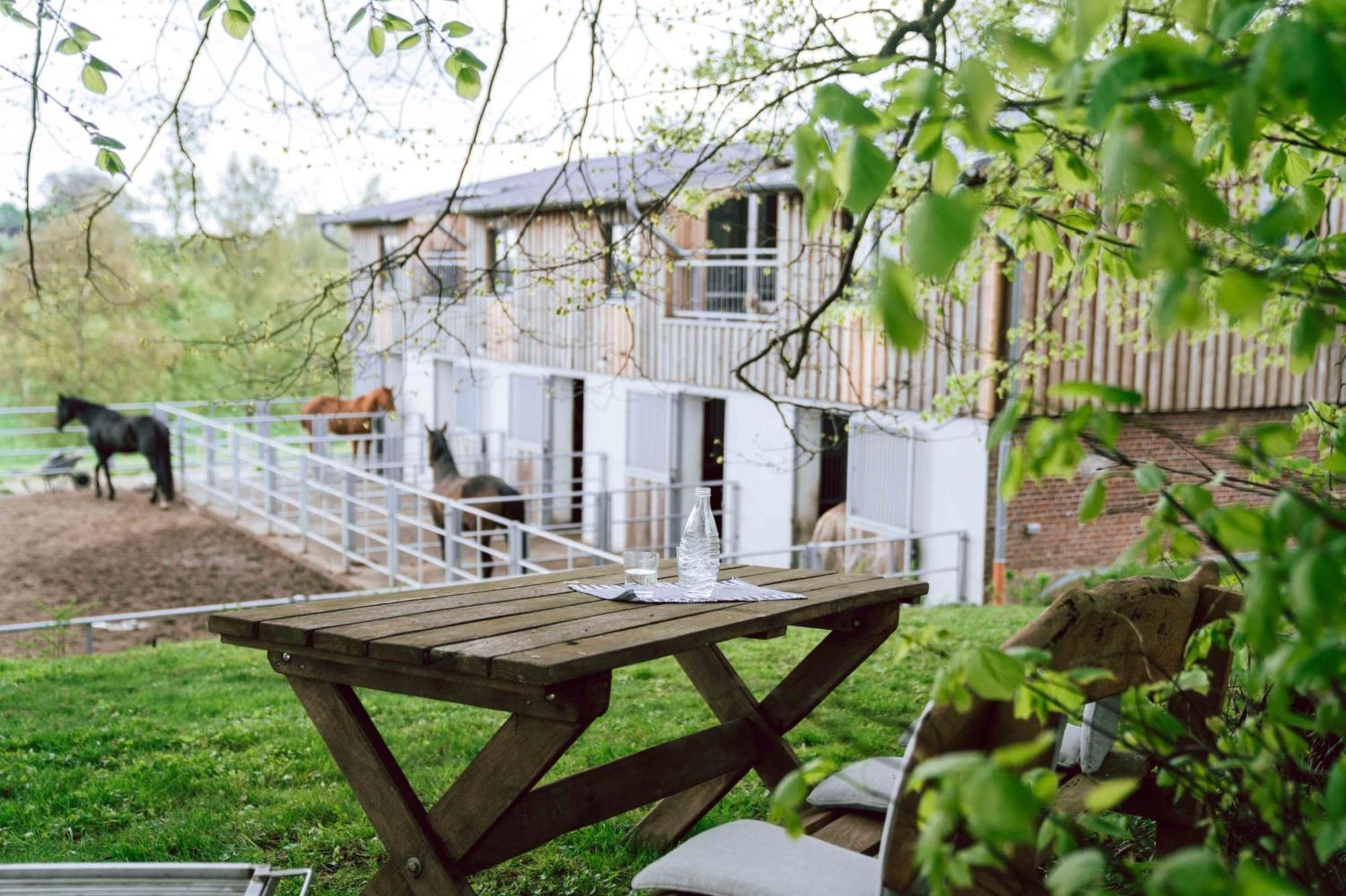 Studio Eins Oersberg Exterior foto